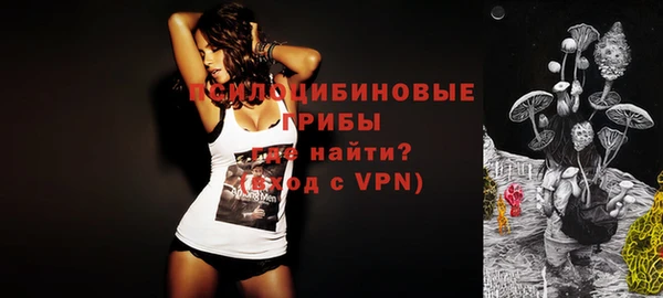 дурь Осташков