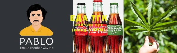 дурь Осташков