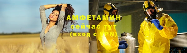 дурь Осташков
