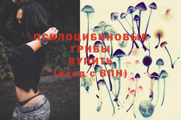 дурь Осташков