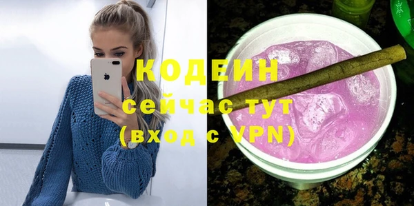 дурь Осташков