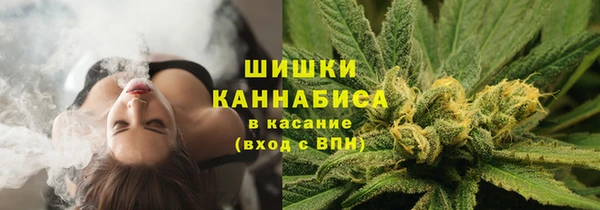 экстази Ельня