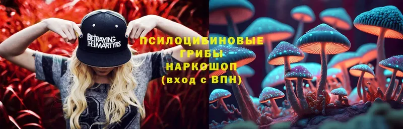 MEGA ссылки  Кирсанов  Псилоцибиновые грибы мухоморы 